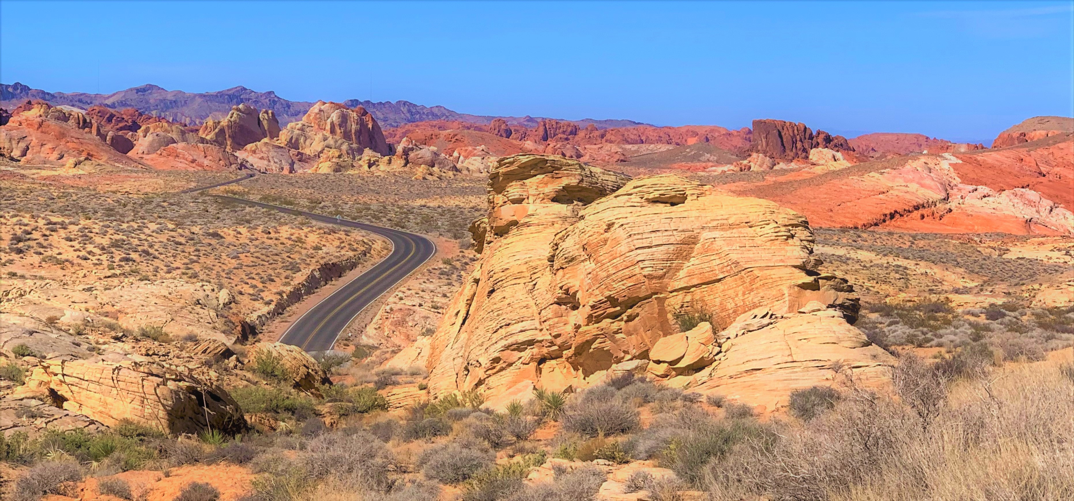 Nevada
